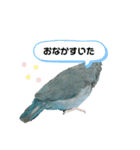 マメルリハのまめちゃん 2（個別スタンプ：12）