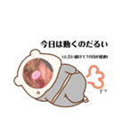 運コピ（個別スタンプ：12）