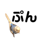 セキセイインコのちぃーちゃんです5（個別スタンプ：7）