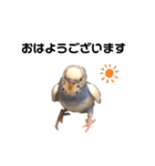 セキセイインコのちぃーちゃんです5（個別スタンプ：8）