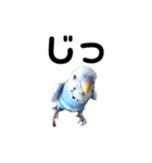 セキセイインコのちぃーちゃんです5（個別スタンプ：9）