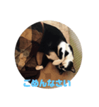 Myペット2♪（個別スタンプ：1）