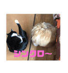 Myペット2♪（個別スタンプ：4）