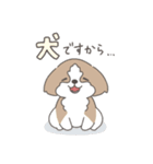 ほんわかシーズー犬の日常2（個別スタンプ：40）