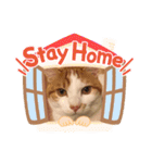 今日のみーた（個別スタンプ：7）