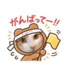 今日のみーた（個別スタンプ：10）