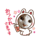 今日のみーた（個別スタンプ：11）