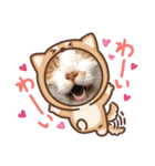 今日のみーた（個別スタンプ：12）