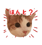 今日のみーた（個別スタンプ：15）
