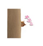今日のみーた（個別スタンプ：28）