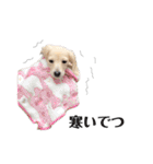 はなさんでつよ〜〜〜（個別スタンプ：16）