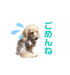 はなさんでつよ〜〜〜（個別スタンプ：23）