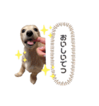 はなさんでつよ〜〜〜（個別スタンプ：25）