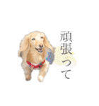 はなさんでつよ〜〜〜（個別スタンプ：33）