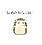 ハリネズミ師匠のLINEスタンプ（個別スタンプ：3）