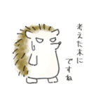 ハリネズミ師匠のLINEスタンプ（個別スタンプ：8）