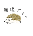 ハリネズミ師匠のLINEスタンプ（個別スタンプ：18）