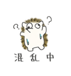 ハリネズミ師匠のLINEスタンプ（個別スタンプ：25）