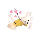 困った顔のこまるくん No.1（個別スタンプ：1）