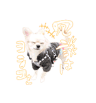 困った顔のこまるくん No.1（個別スタンプ：6）