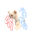 困った顔のこまるくん No.1（個別スタンプ：9）
