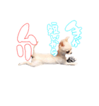 困った顔のこまるくん No.1（個別スタンプ：11）