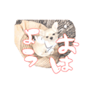 困った顔のこまるくん No.1（個別スタンプ：13）