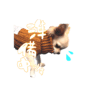困った顔のこまるくん No.1（個別スタンプ：15）