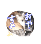 困った顔のこまるくん No.1（個別スタンプ：17）