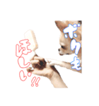 困った顔のこまるくん No.1（個別スタンプ：20）