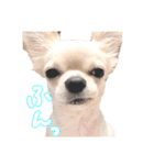 困った顔のこまるくん No.1（個別スタンプ：22）