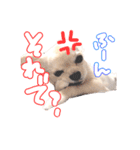 困った顔のこまるくん No.1（個別スタンプ：25）