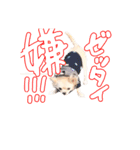 困った顔のこまるくん No.1（個別スタンプ：27）