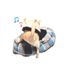 困った顔のこまるくん No.1（個別スタンプ：30）