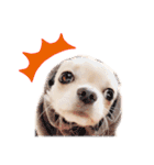 困った顔のこまるくん No.1（個別スタンプ：31）