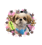 COCO STYLELOVE6（個別スタンプ：2）