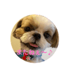 COCO STYLELOVE6（個別スタンプ：6）