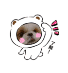 COCO STYLELOVE6（個別スタンプ：7）