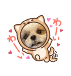 COCO STYLELOVE6（個別スタンプ：8）