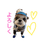 COCO STYLELOVE6（個別スタンプ：9）