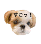 COCO STYLELOVE6（個別スタンプ：11）