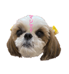 COCO STYLELOVE6（個別スタンプ：14）