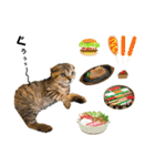 ねこ レモン＆オリーブ（個別スタンプ：3）