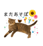 ねこ レモン＆オリーブ（個別スタンプ：4）
