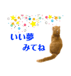 ねこ レモン＆オリーブ（個別スタンプ：5）