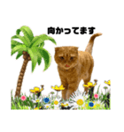 ねこ レモン＆オリーブ（個別スタンプ：6）