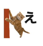 ねこ レモン＆オリーブ（個別スタンプ：10）