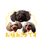 カヨカヨすたんぷ（個別スタンプ：7）