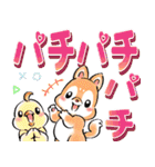 わんにゃんフレンドたまにピヨでか文字Ver.（個別スタンプ：22）