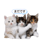 魔女の子4（個別スタンプ：4）